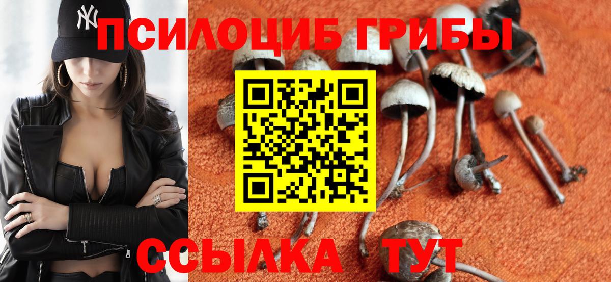 Галлюциногенные грибы ЛСД  Галлюциногенные грибы мицелий  Саранск  Вход с VPN 